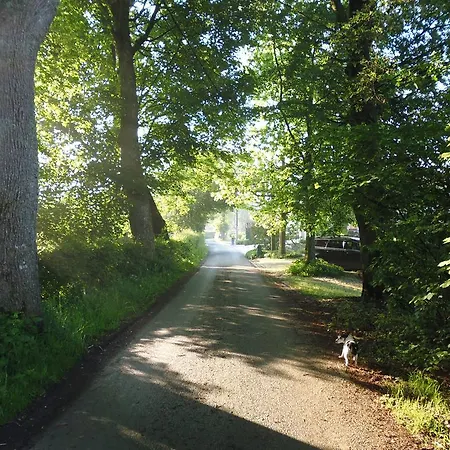 Bed & Breakfast V.k. Pgmbh 3*